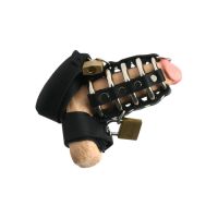 Strict leather gates of hell chastity device